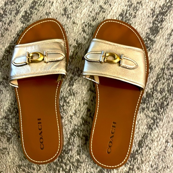 Gold Coach slides - Picture 1 of 4